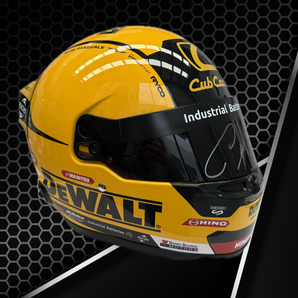 DeWaltTeam 18 2025