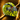 Lando Norris 2025 Championship Winning